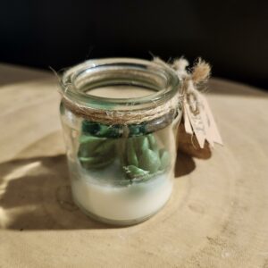 bougie petit pot de plantes suculante