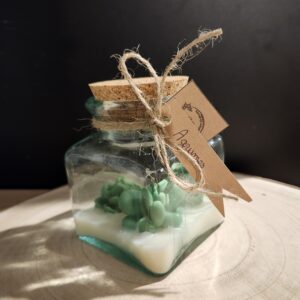 bougie pot de plantes suculante