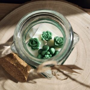 Bougie pot de plantes suculante bougie pot de plantes suculante