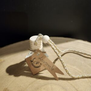 désodorisant voiture verveine (copie)