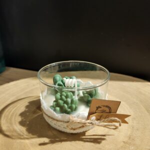 bougie plantes suculante
