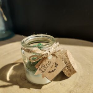 bougie petit pot de plantes suculante