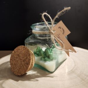 bougie pot de plantes suculante